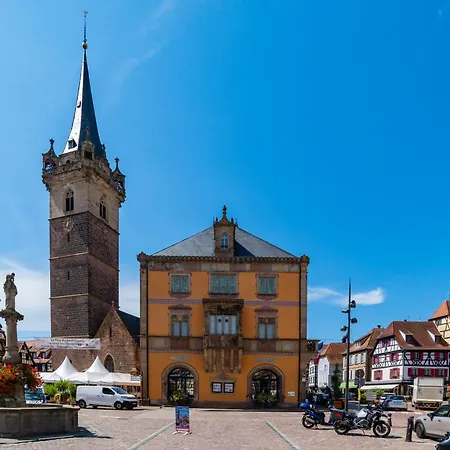 27 - Elegant Et Lumineux Au Centre D'obernai Apartament