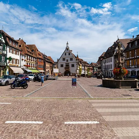 27 - Elegant Et Lumineux Au Centre D'obernai