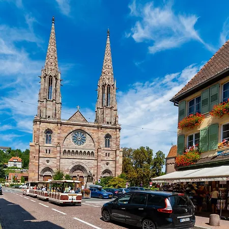 27 - Elegant Et Lumineux Au Centre D'obernai * Obernai