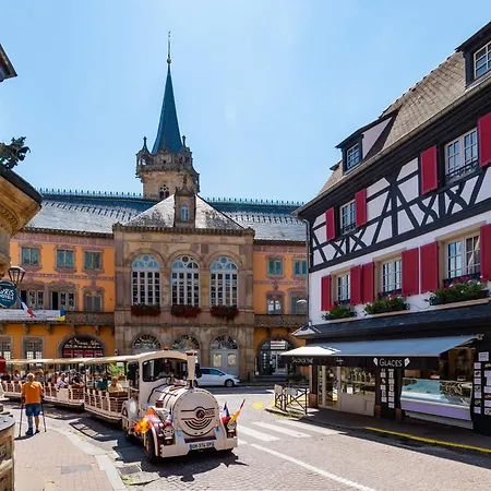 27 - Elegant Et Lumineux Au Centre D'obernai Apartament *