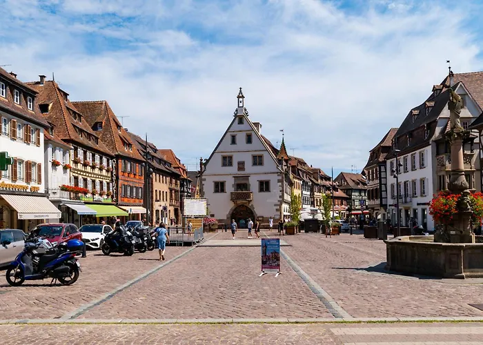 27 - élégant Et Lumineux Au Centre D'obernai Apartamento Obernai