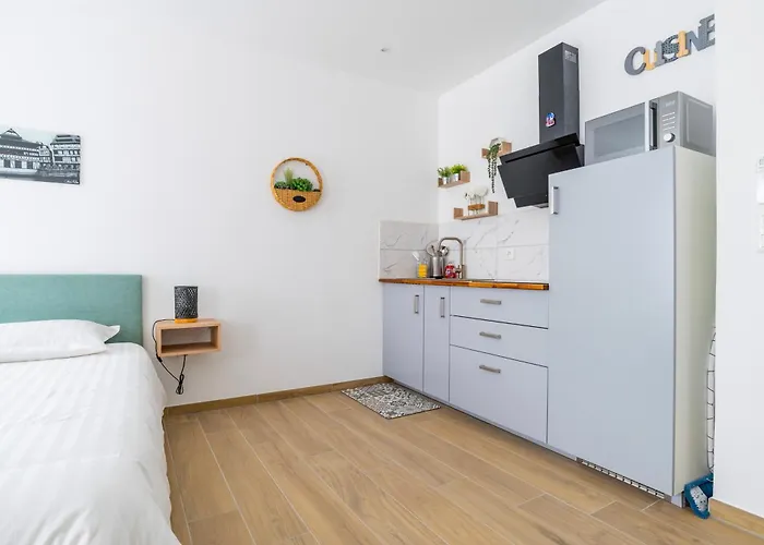 27 - élégant Et Lumineux Au Centre D'obernai