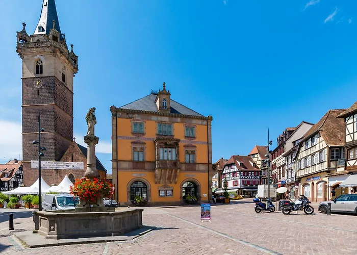 Apartamento 27 - élégant Et Lumineux Au Centre D'obernai Obernai