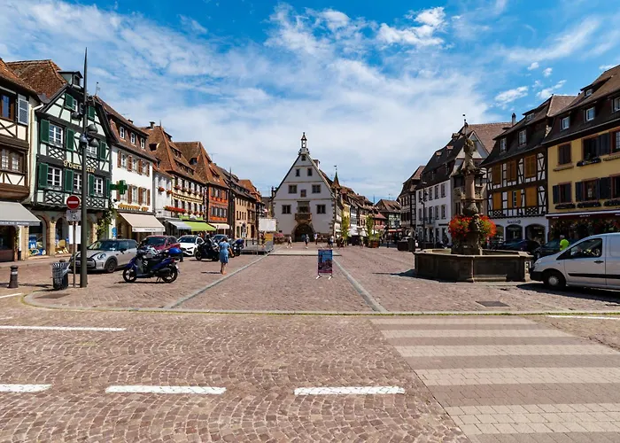 27 - élégant Et Lumineux Au Centre D'obernai